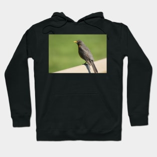 I'm Sexy And You Know It Hoodie